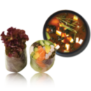 Ланч Комбо