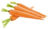 Carrot