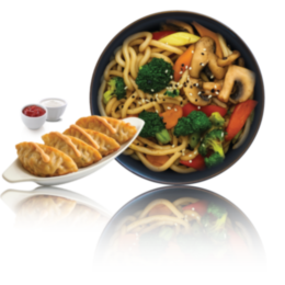 Udon Noodles with Vegetables and Mushrooms in "WOK" sauce + Vegetarian "Gyoza" Dumplings