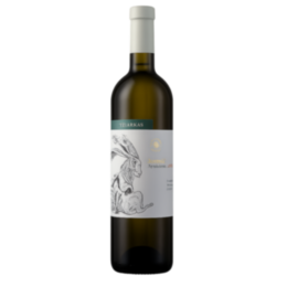 Tsiakkas Xynisteri wine