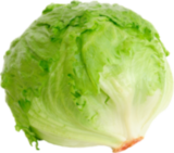 "Iceberg" lettuce