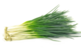 Green onion