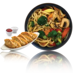 Udon Noodles with Vegetables and Mushrooms in "WOK" sauce + Vegetarian "Gyoza" Dumplings