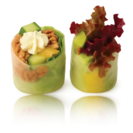 "Teriyaki" spring
